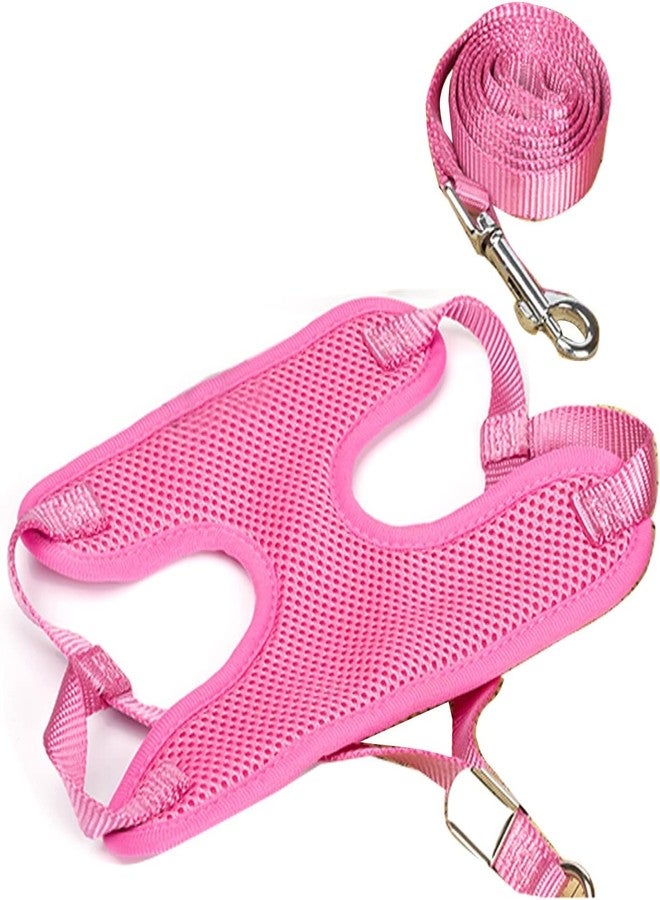 Pups&Pets طقم سترة مبطنة ناعمة قابلة للتعديل من Pups&Pets مع حزام ومقود للكلاب الصغيرة والقطط والأرانب والجراء (اللون حسب المتوفر) - Image 3